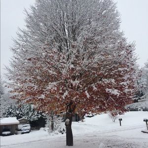 Meet your Posher, Alana